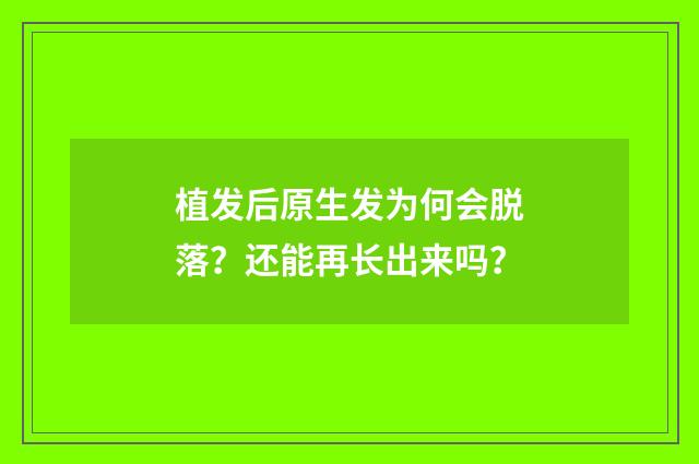 植發(fā)后原生發(fā)為何會(huì)脫落？還能再長(zhǎng)出來嗎？